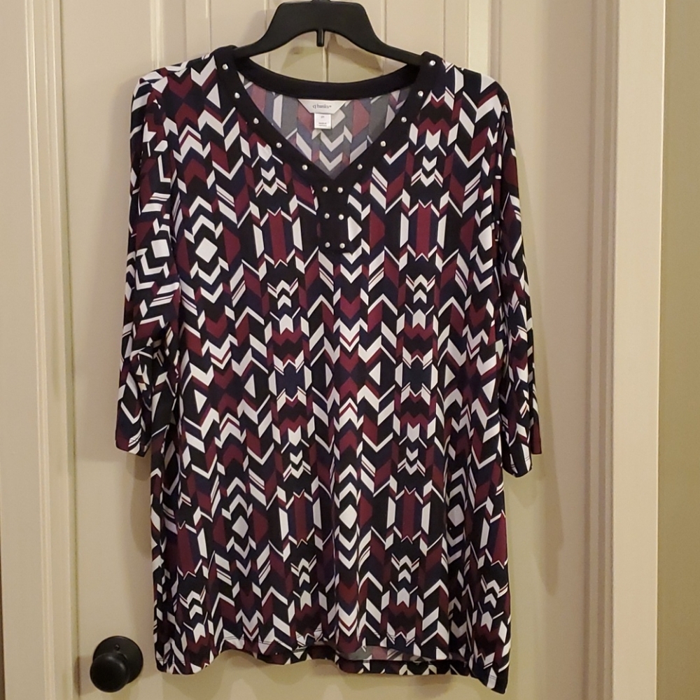 CJ Banks tunic 2x